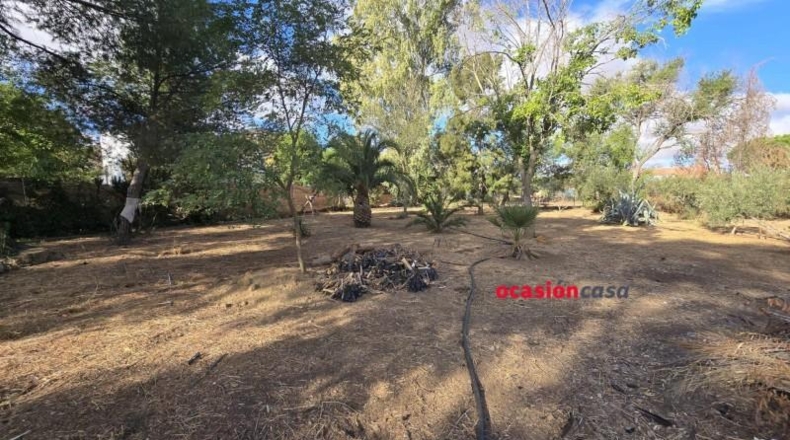 Córdoba - Peñarroya-Pueblonuevo - 2727m2