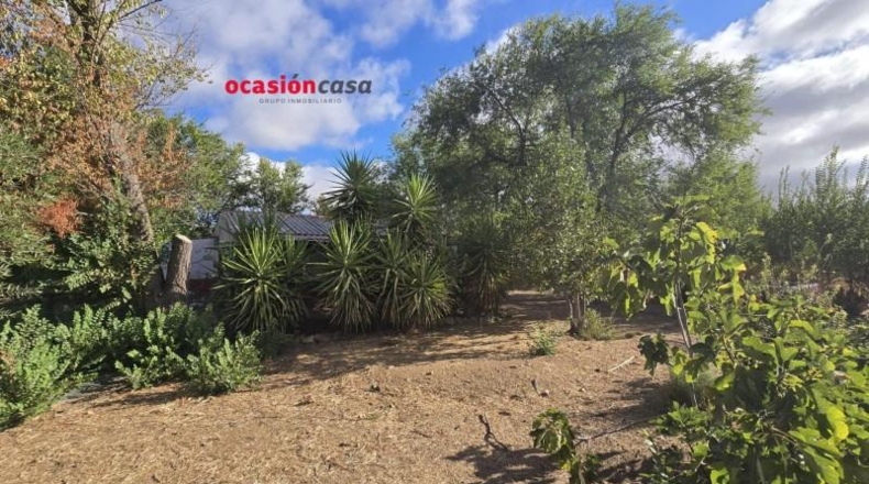 Córdoba - Peñarroya-Pueblonuevo - 2727m2