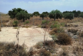 Foto 15