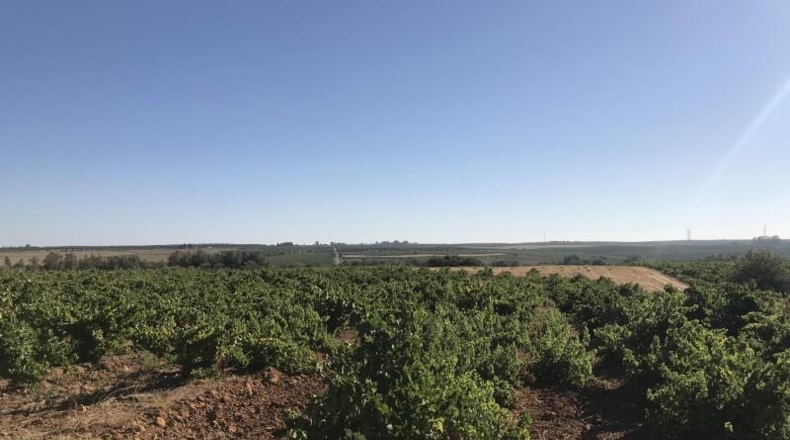 Huelva - Hinojos - 40196m2