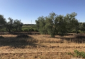 Отдельно стоящий дом с участком на продажу в городе Hinojos Фото