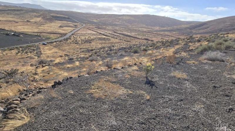 Las Palmas - Teguise - 14000m2