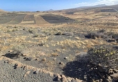 Terreno no urbanizable en venta en la España, Teguise, ref: TR312914 foto