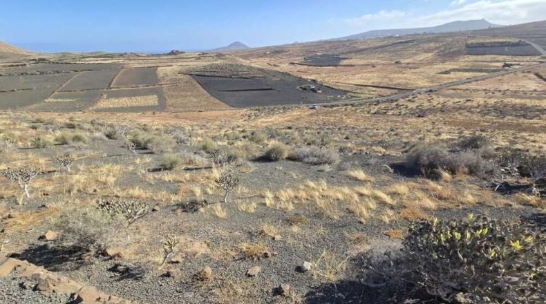Las Palmas - Teguise - 14000m2