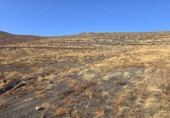 Terreno no urbanizable en venta en la España, Teguise, ref: TR312914 foto