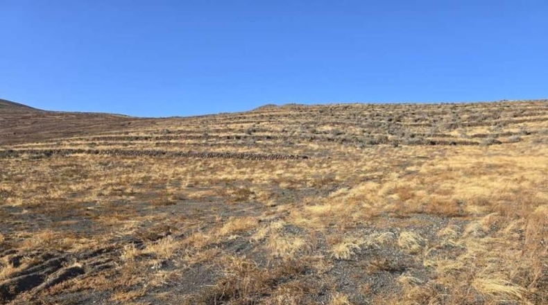Las Palmas - Teguise - 14000m2