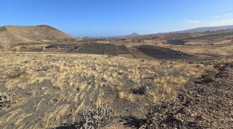 Las Palmas - Teguise - 14000m2
