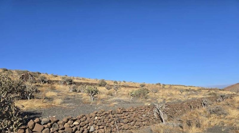 Las Palmas - Teguise - 14000m2