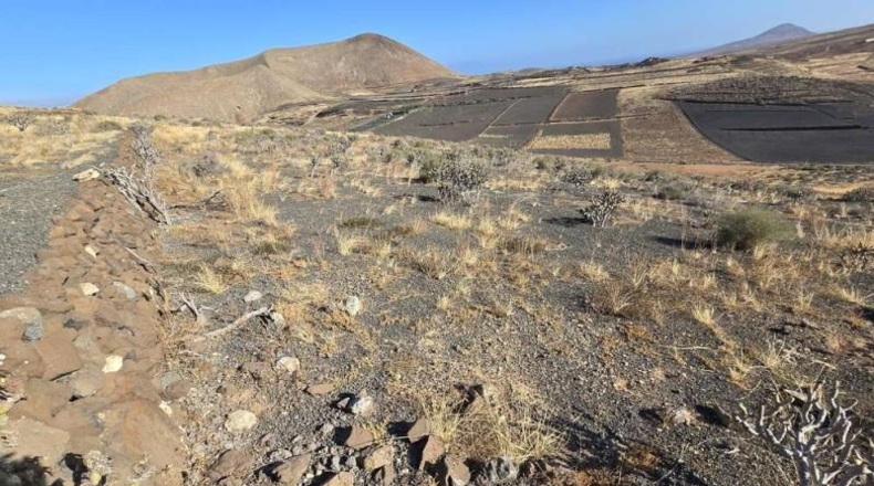 Las Palmas - Teguise - 14000m2