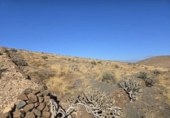 Terreno no urbanizable en venta en la España, Teguise, ref: TR312914 foto