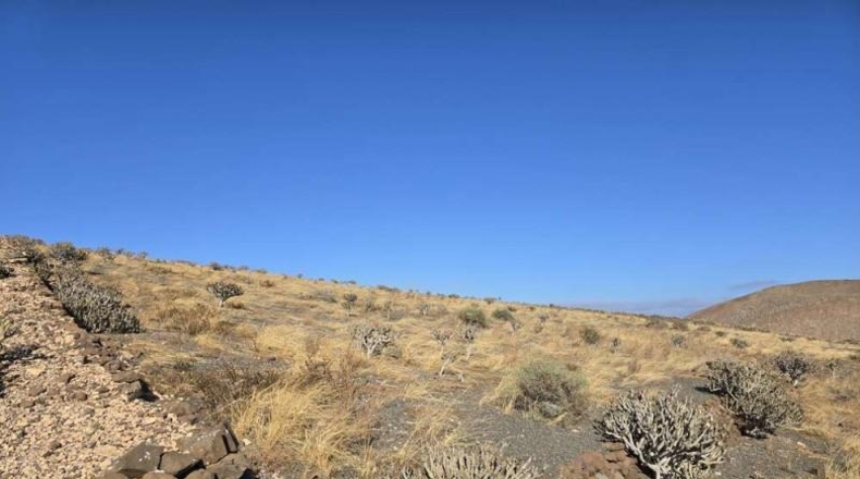 Las Palmas - Teguise - 14000m2
