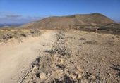 Terreno no urbanizable en venta en la España, Teguise, ref: TR312914 foto
