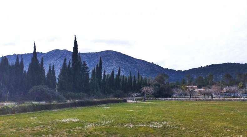 Islas Baleares - Puerto de Pollensa - 6001m2