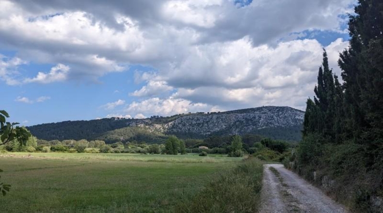 Islas Baleares - Puerto de Pollensa - 6001m2