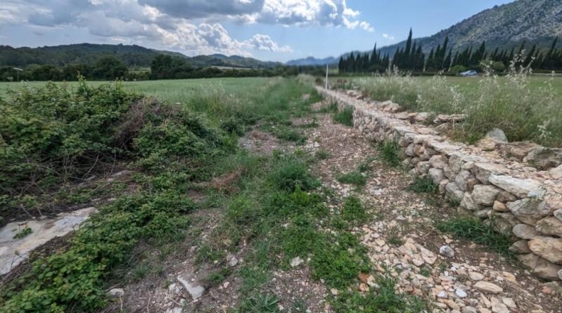 Islas Baleares - Puerto de Pollensa - 6001m2