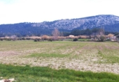 Terreno no urbanizable en venta en la España, Puerto de Pollensa, ref: TR408032 foto