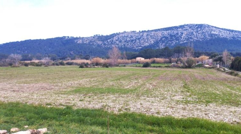Islas Baleares - Puerto de Pollensa - 6001m2