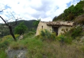 Terreno no urbanizable en venta en la España, Torremanzanas, ref: TR410177 foto