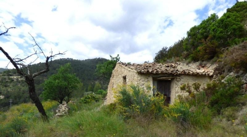 Alicante - la Torre de les Maçanes - 40270m2