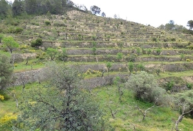 Torremanzanas 40270&nbsp;m²