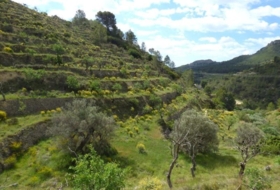 Torremanzanas 40270&nbsp;m²
