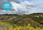 Casa prefabricada con terreno en venta en la España, Almogía, ref: TR302783 foto