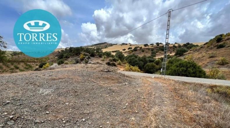 Málaga - Almogía - 25142m2