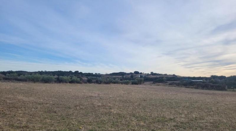 Navarra - Tafalla - 8000m2