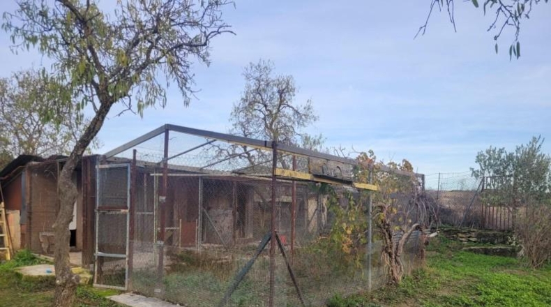 Navarra - Tafalla - 8000m2