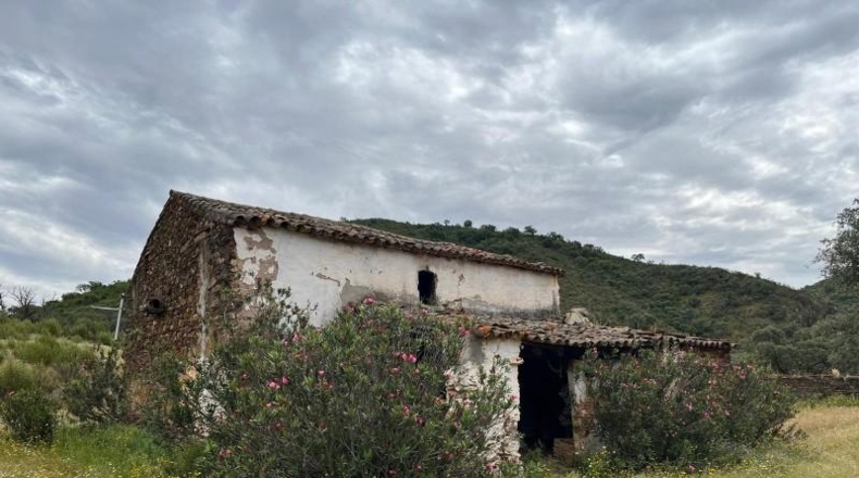 Segovia - Berrocal - 24219m2
