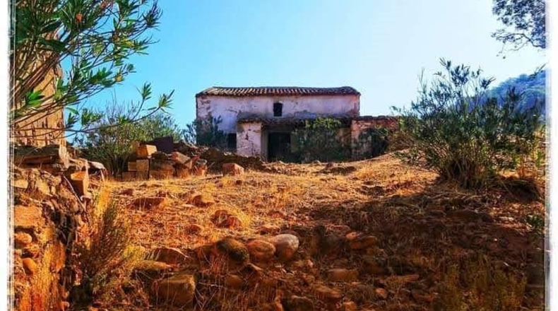 Segovia - Berrocal - 24219m2
