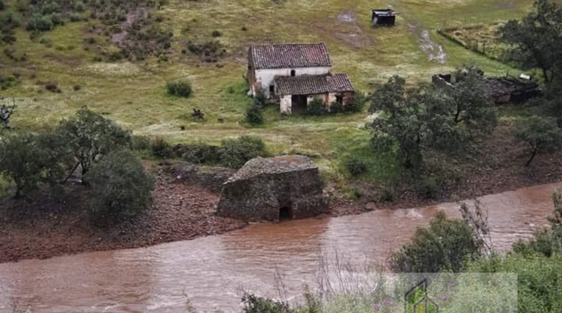 Segovia - Berrocal - 24219m2