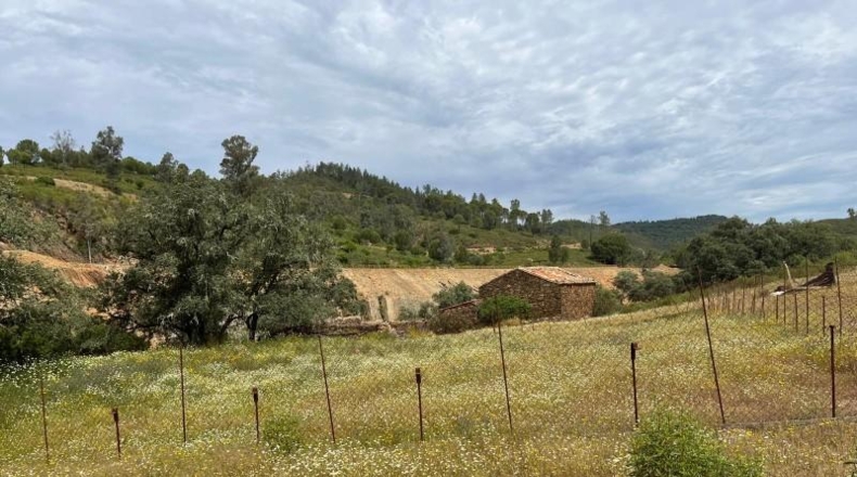 Segovia - Berrocal - 24219m2