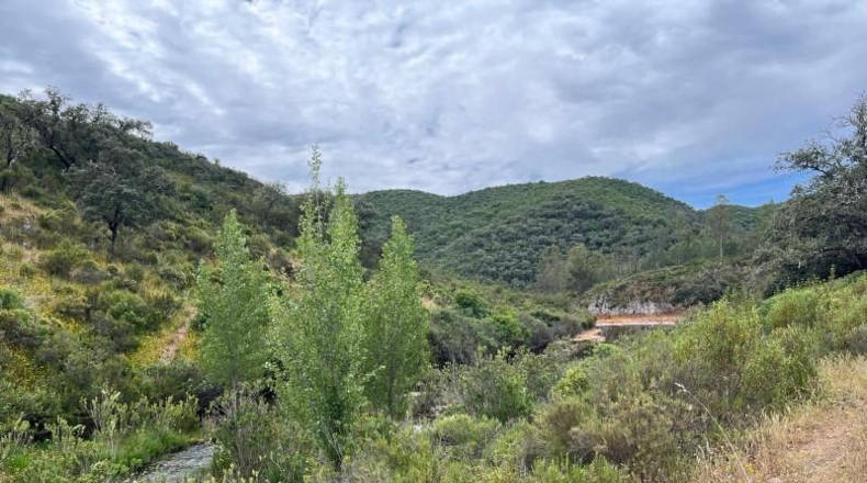 Segovia - Berrocal - 24219m2