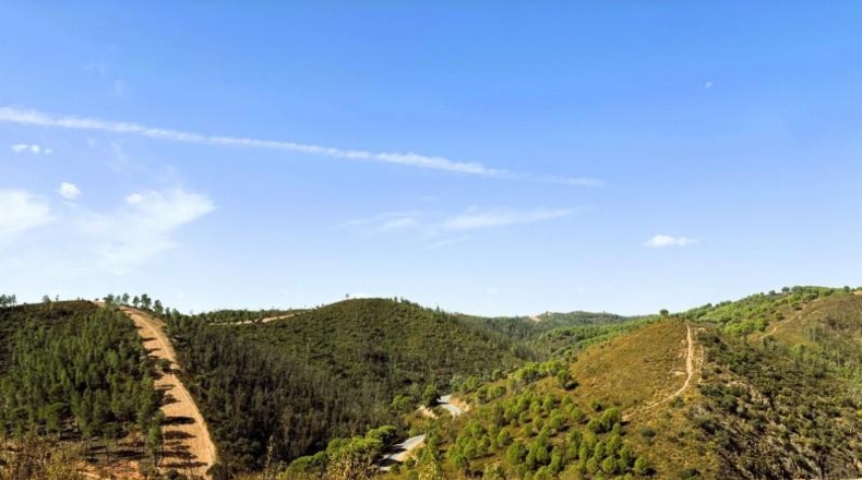 Segovia - Berrocal - 24219m2