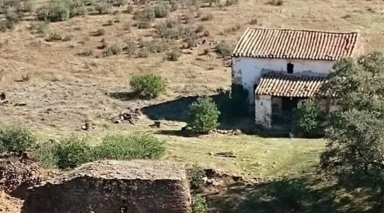 Segovia - Berrocal - 24219m2