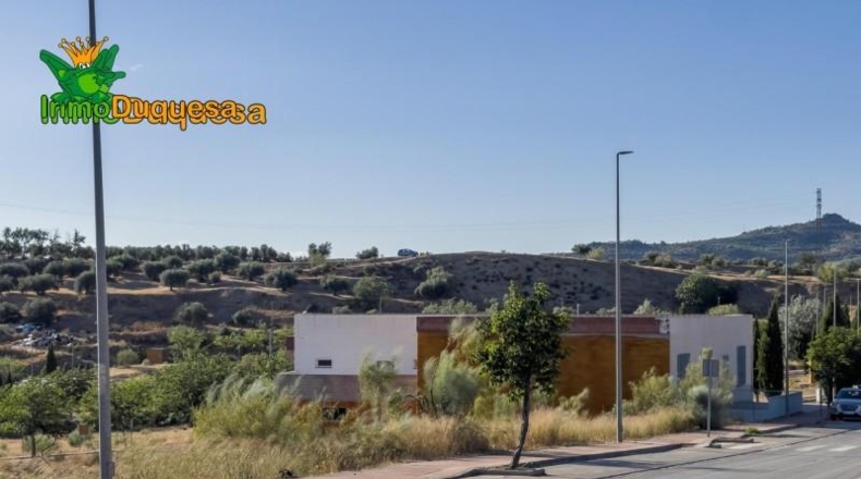 Granada - Alfacar - 1541m2