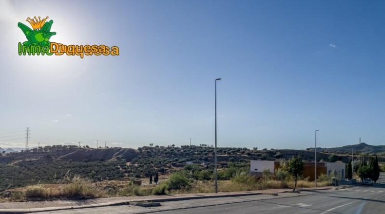 Granada - Alfacar - 1541m2