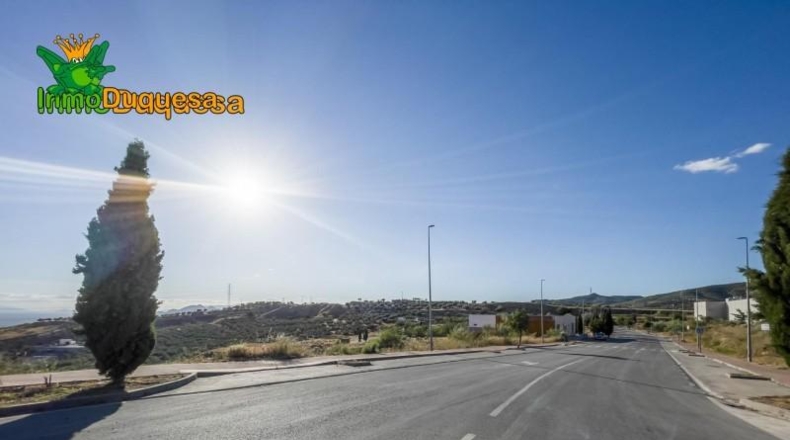 Granada - Alfacar - 1541m2