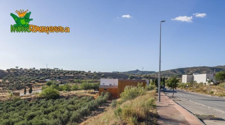 Granada - Alfacar - 1541m2
