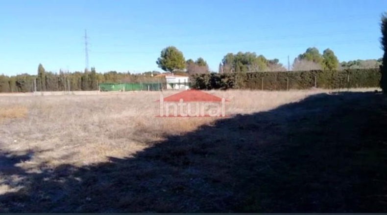 Albacete - Albacete - 1220m2