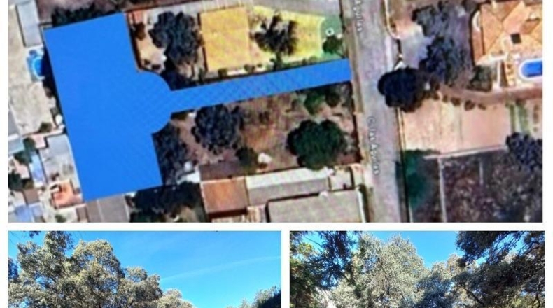Córdoba - Córdoba - 1183m2