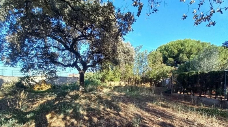 Córdoba - Córdoba - 1183m2