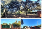 Parcel·la urbanitzable en venda a la España, Còrdova, ref.: TR315308 foto