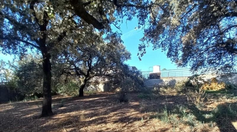 Córdoba - Córdoba - 1183m2