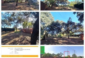 Foto 15