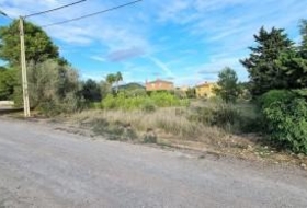la Joncosa del Montmell 2300&nbsp;m²