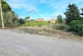 la Joncosa del Montmell 2300&nbsp;m²