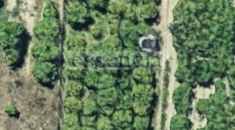 Castellón - Benicarló - 1121m2