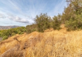 Non-developable land for sale on España, Órgiva, ref: TR312594 photo